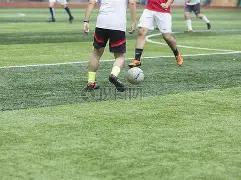 全运会绿色,篇章,粤港澳共建,熊猫体育平台,熊猫体育官方网站,熊猫体育登录入口,熊猫体育app下载