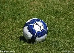 引领游戏电,时代,京东与合作,熊猫体育平台,熊猫体育官方网站,熊猫体育登录入口,熊猫体育app下载