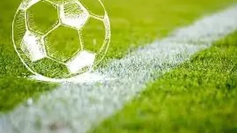 熊猫体育 产品 095924 g6l