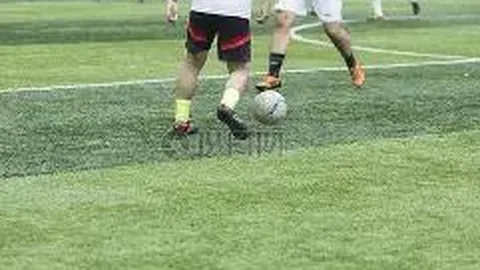 熊猫体育 产品 111528 fhf