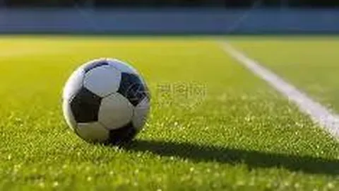 熊猫体育 资讯 112216 f2y