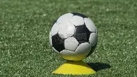 熊猫体育 产品 112422 nnr